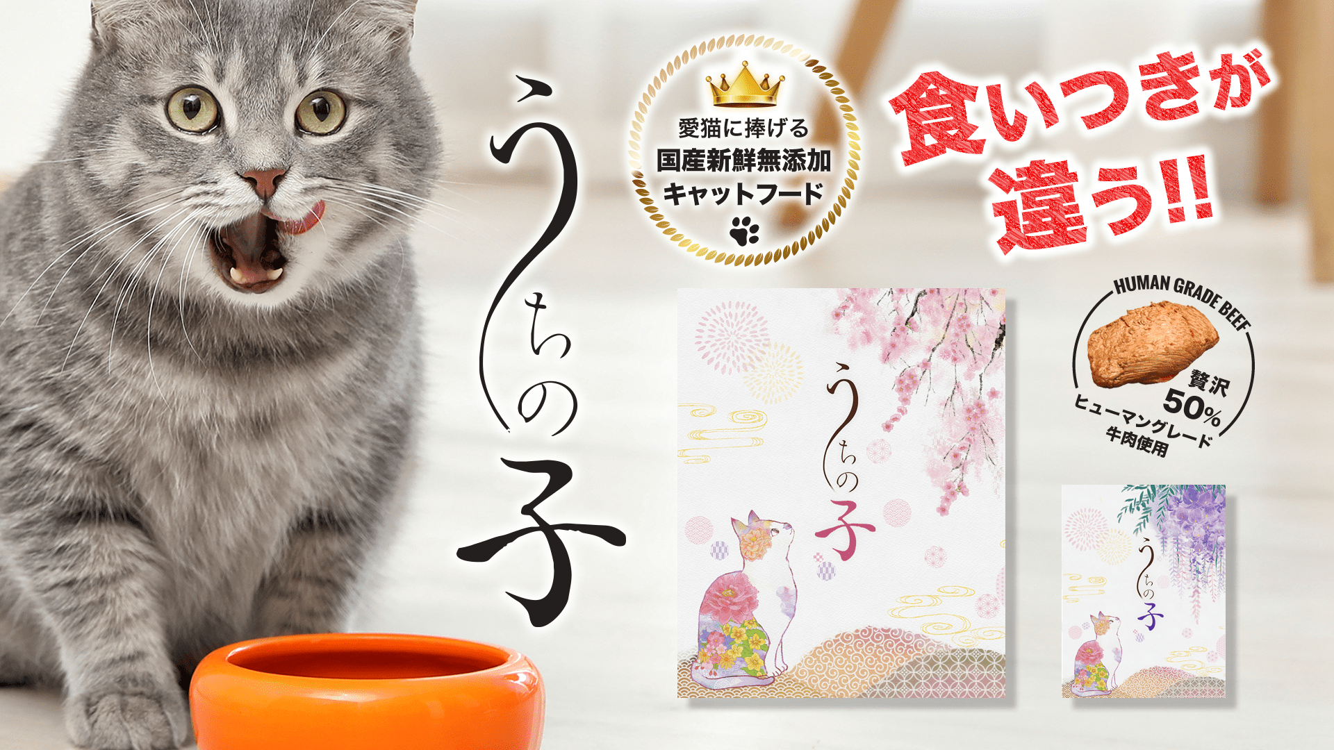 国産新鮮無添加 キャットフード | ねこちゃん専用フード「うちの子」